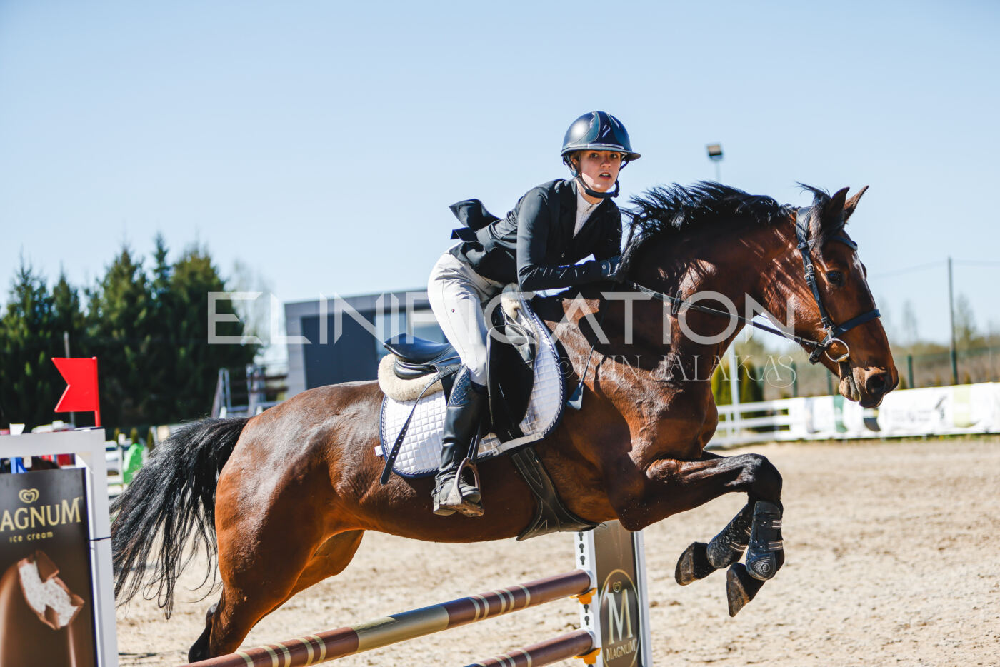Gramina_Volber_2026_90_0480