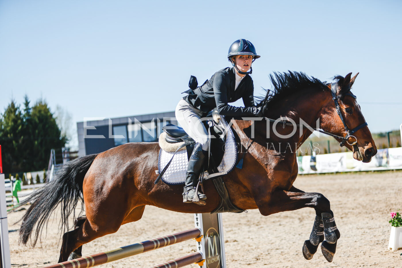 Gramina_Volber_2026_90_0481