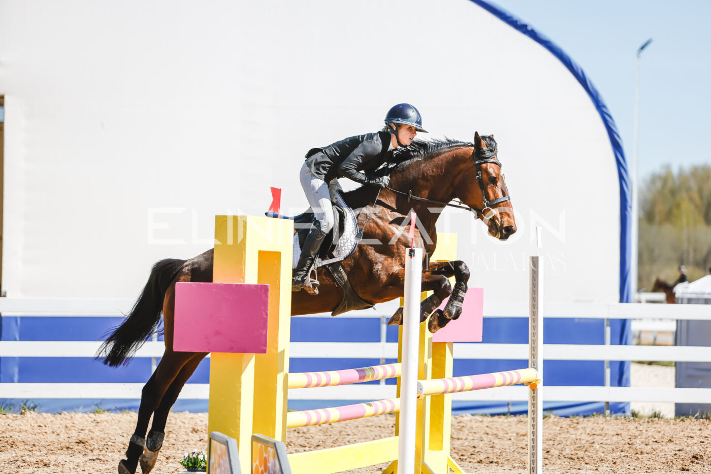 Gramina_Volber_2026_90_0482