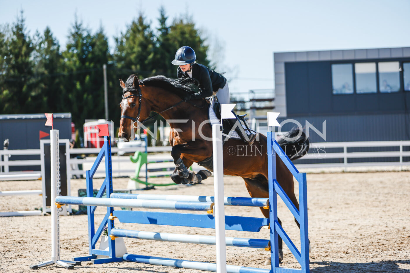 Gramina_Volber_2026_90_0486