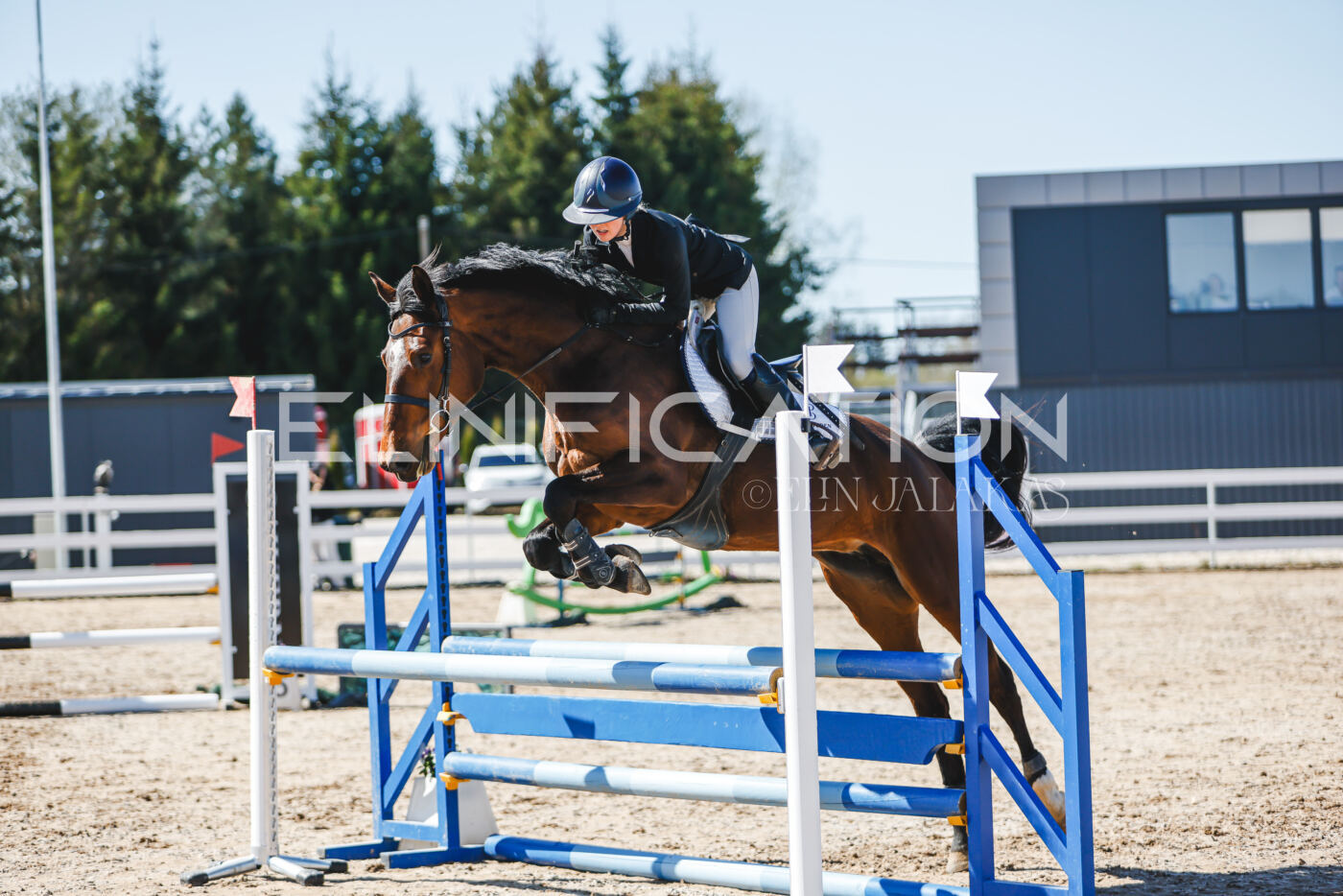 Gramina_Volber_2026_90_0487