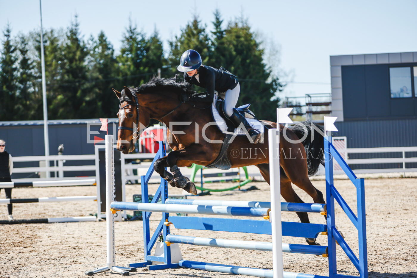 Gramina_Volber_2026_90_0488