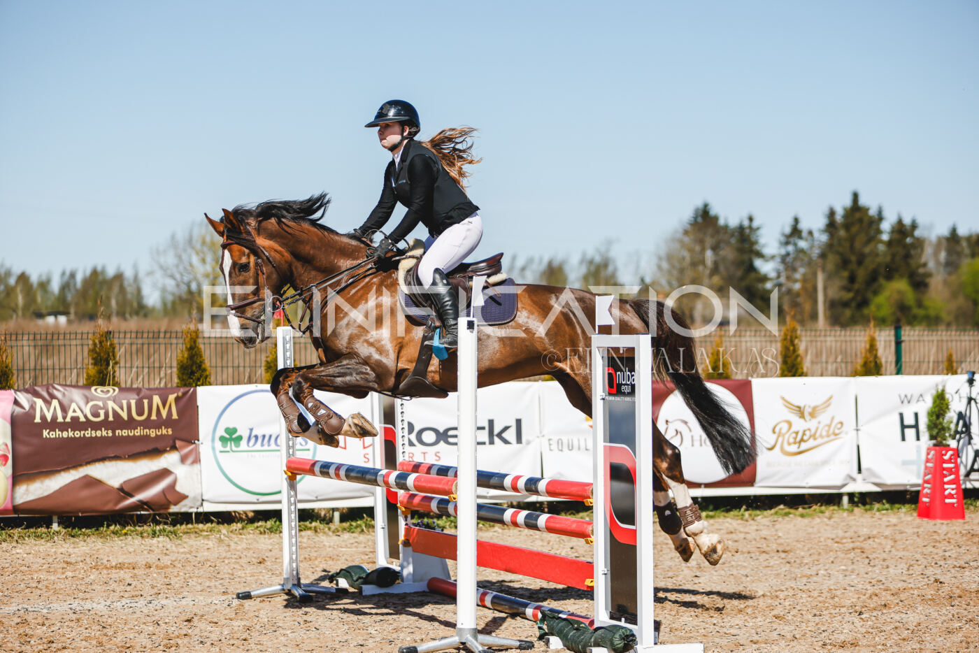 Gramina_Volber_2026_90_0491