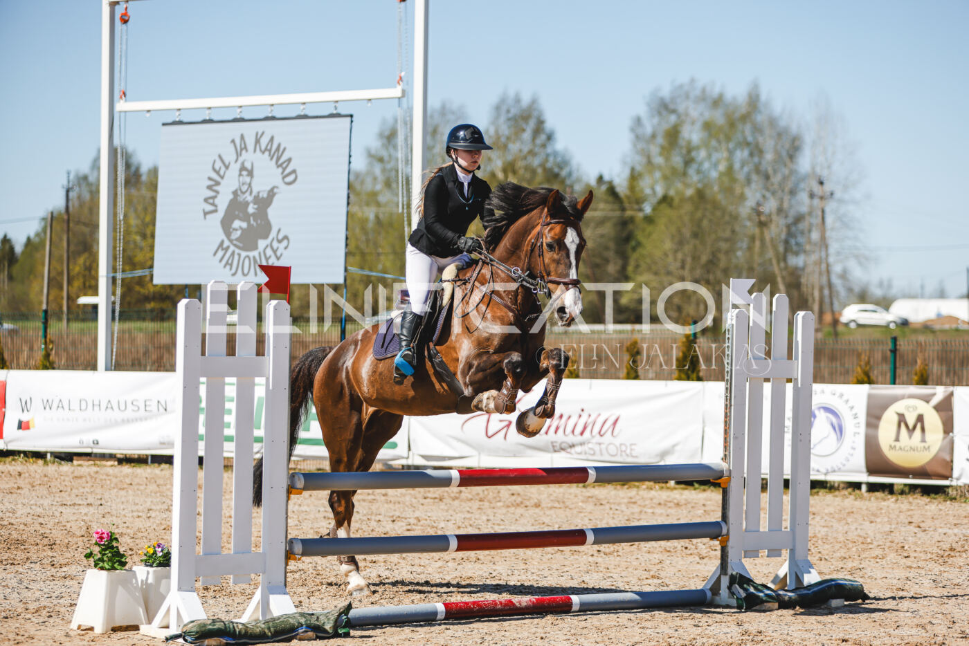 Gramina_Volber_2026_90_0494