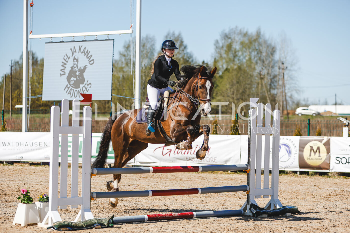 Gramina_Volber_2026_90_0495