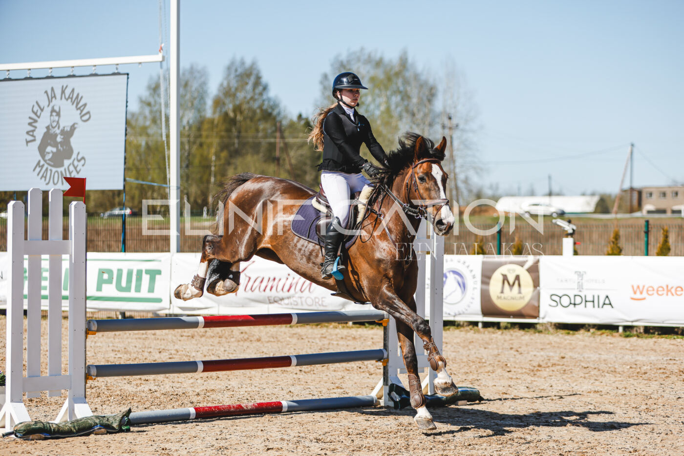 Gramina_Volber_2026_90_0499