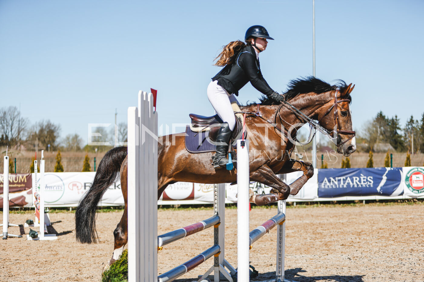 Gramina_Volber_2026_90_0501