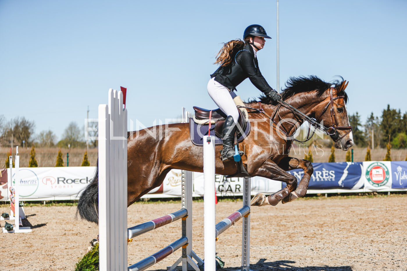 Gramina_Volber_2026_90_0502