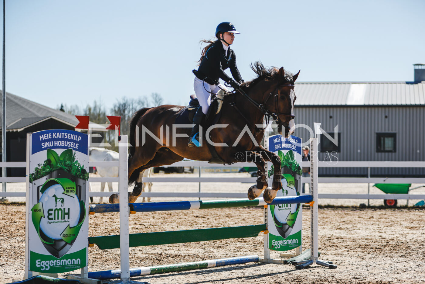 Gramina_Volber_2026_90_0508
