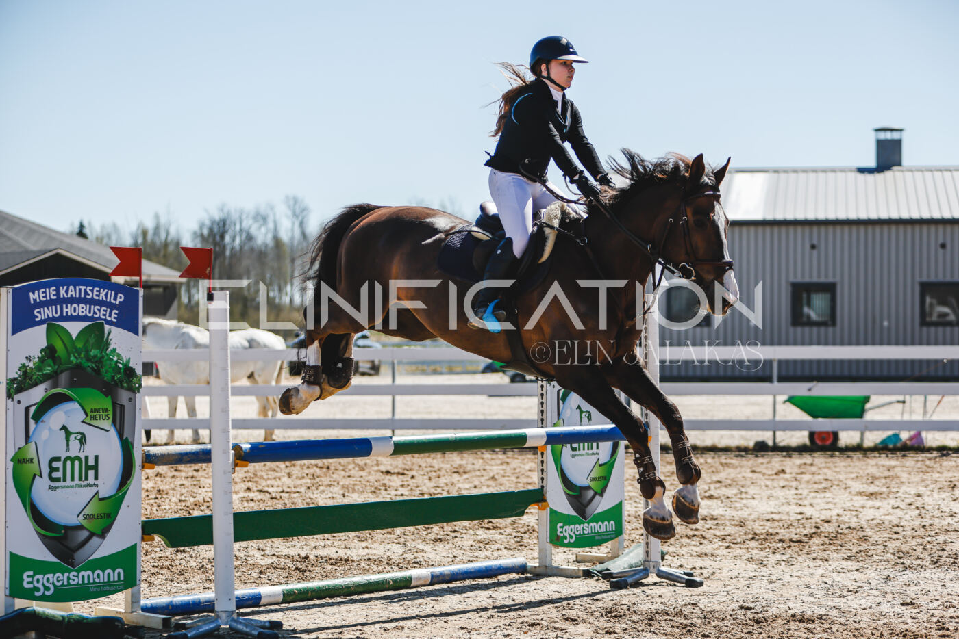 Gramina_Volber_2026_90_0510