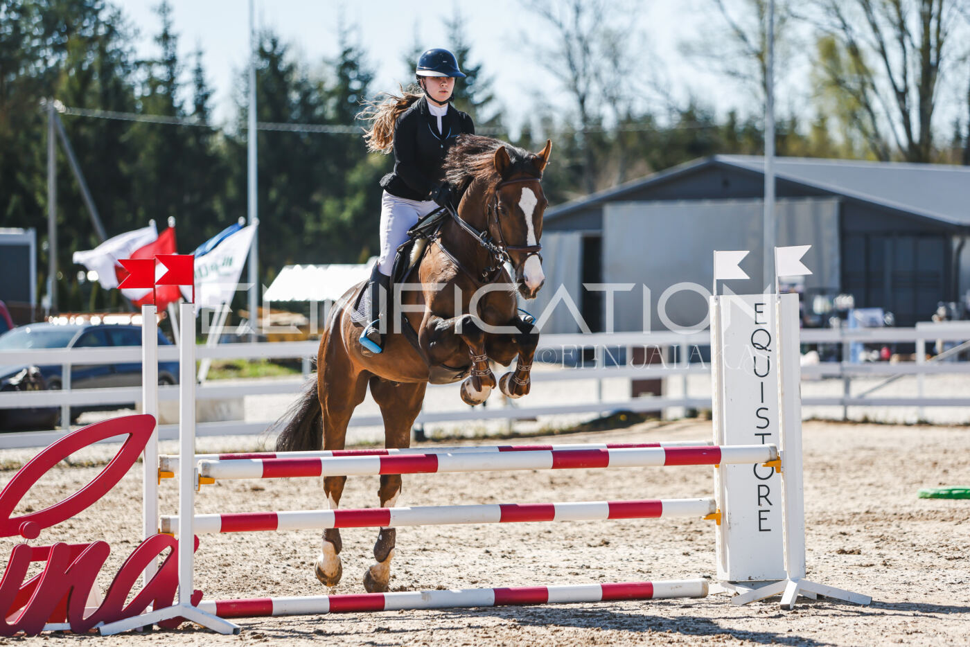 Gramina_Volber_2026_90_0512