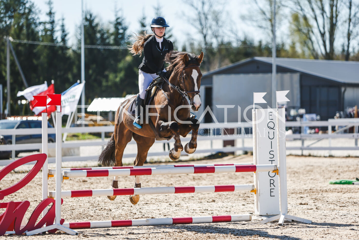 Gramina_Volber_2026_90_0513