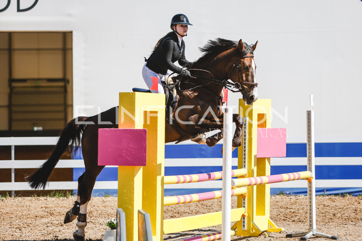 Gramina_Volber_2026_90_0521