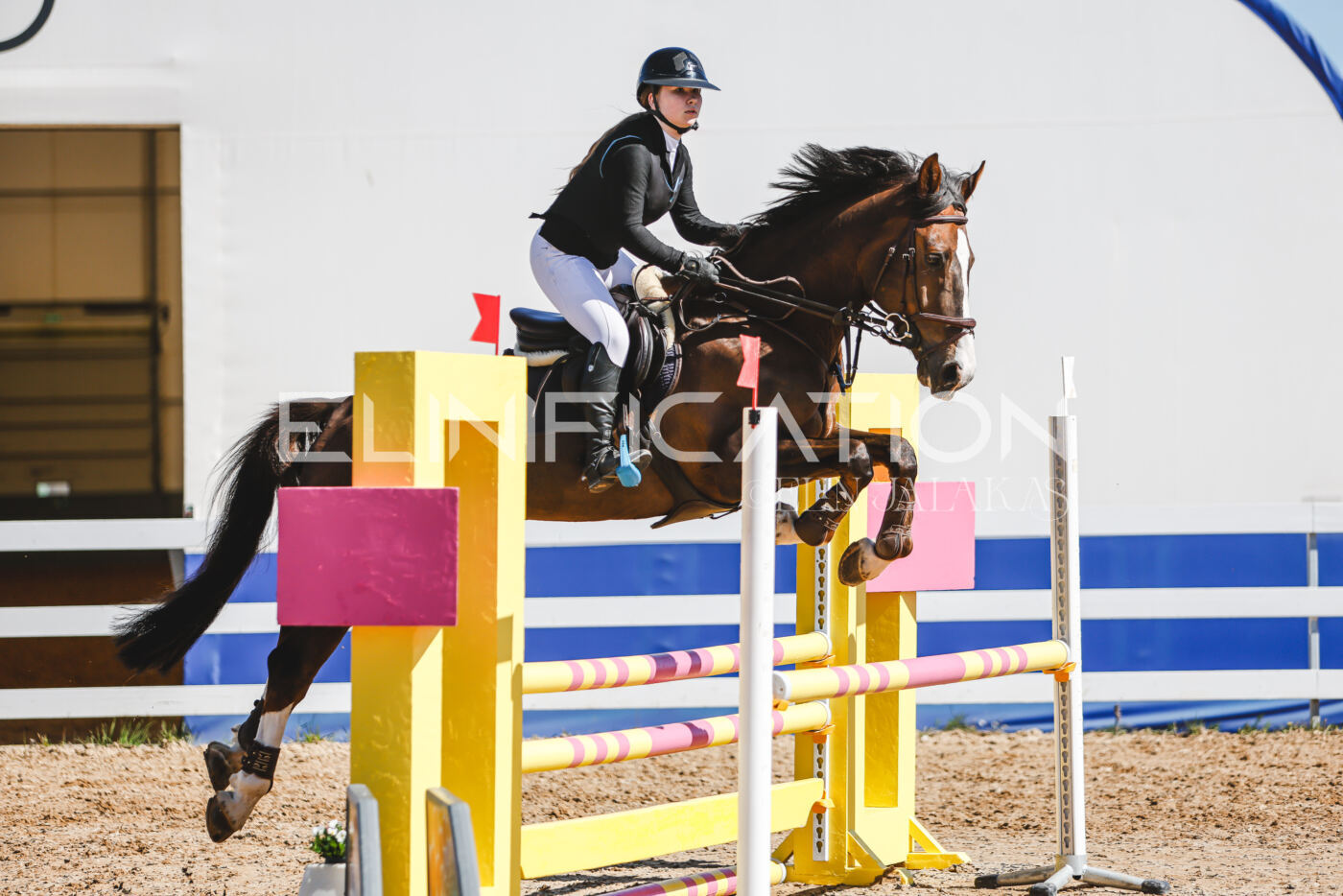 Gramina_Volber_2026_90_0522