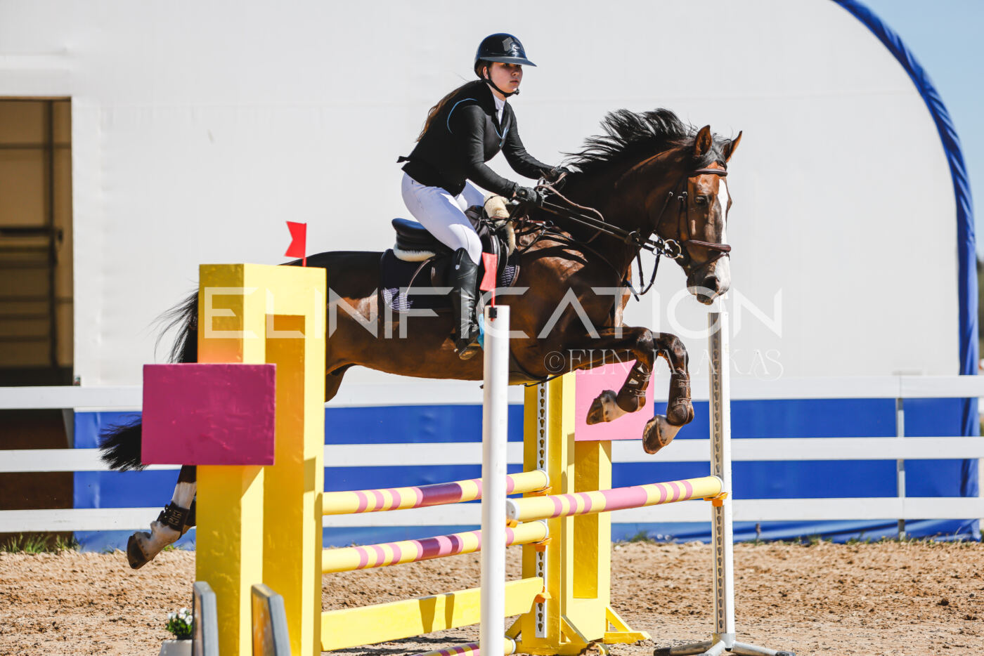 Gramina_Volber_2026_90_0523