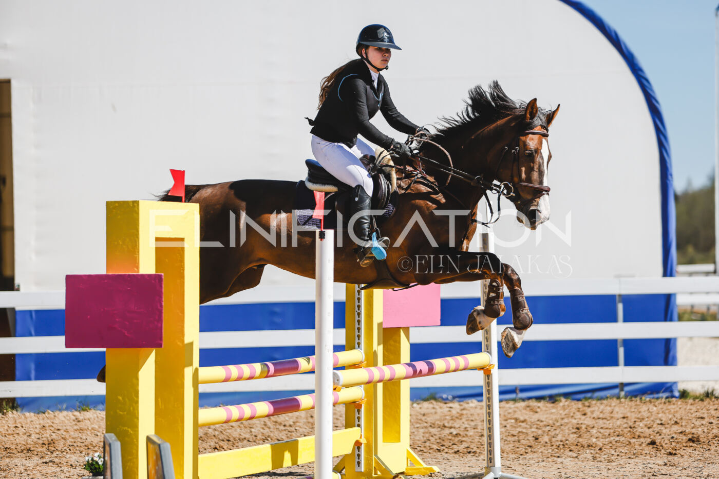 Gramina_Volber_2026_90_0524