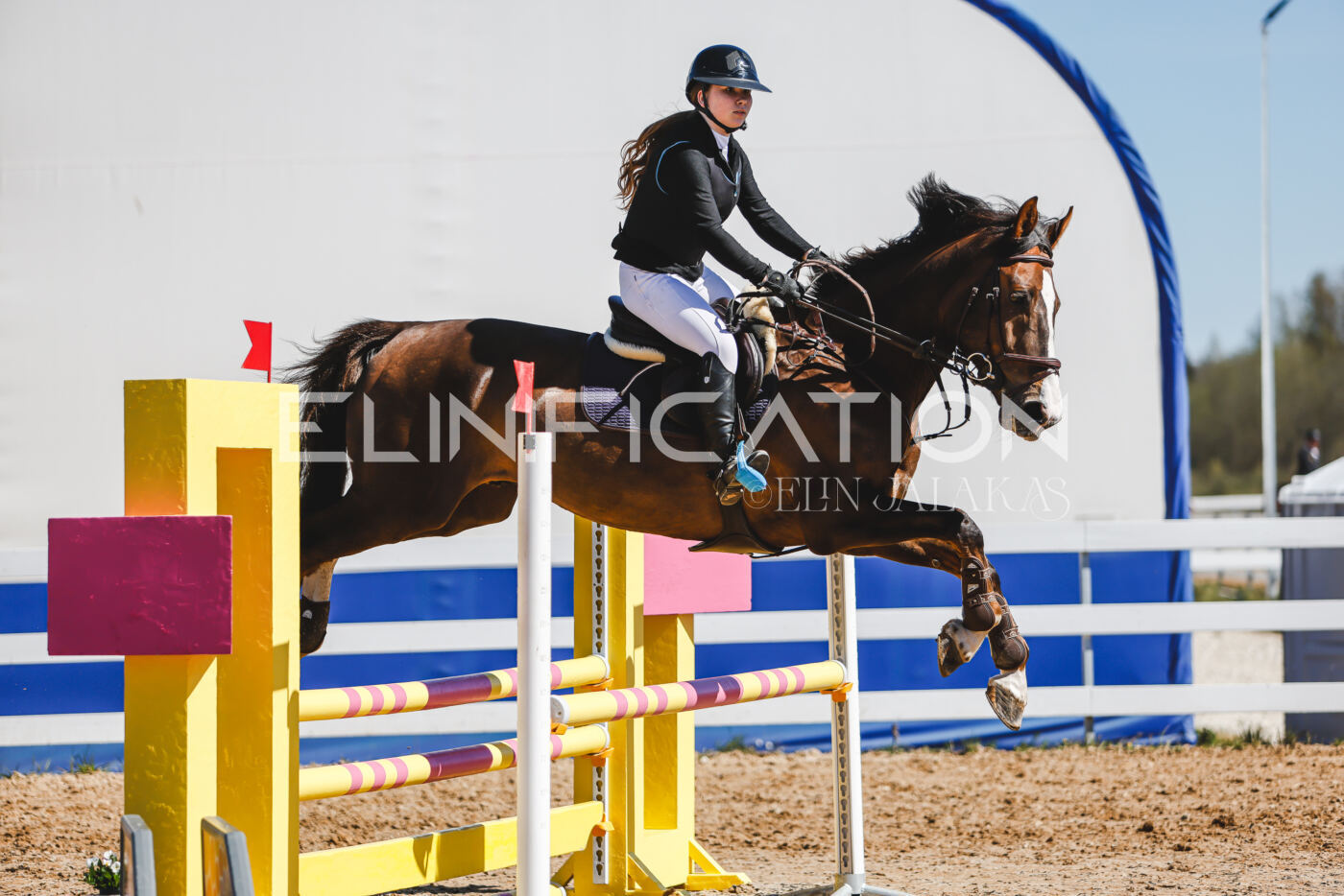 Gramina_Volber_2026_90_0525