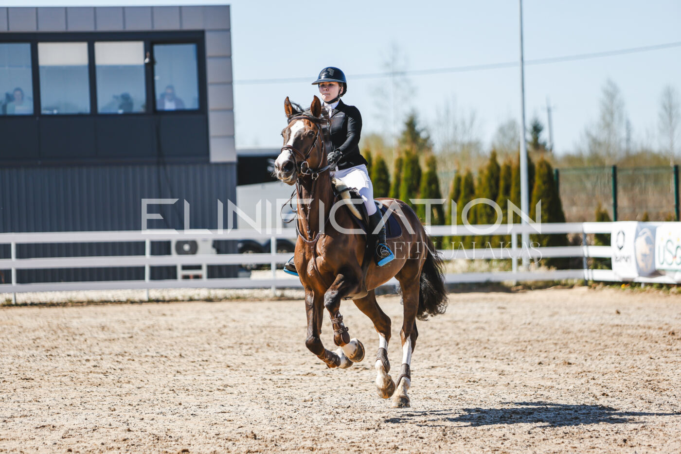 Gramina_Volber_2026_90_0527