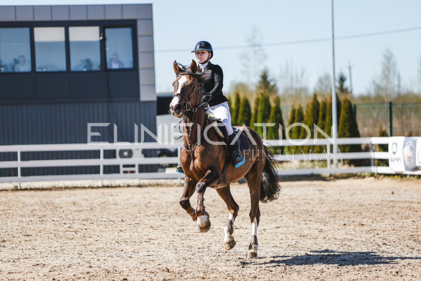 Gramina_Volber_2026_90_0528