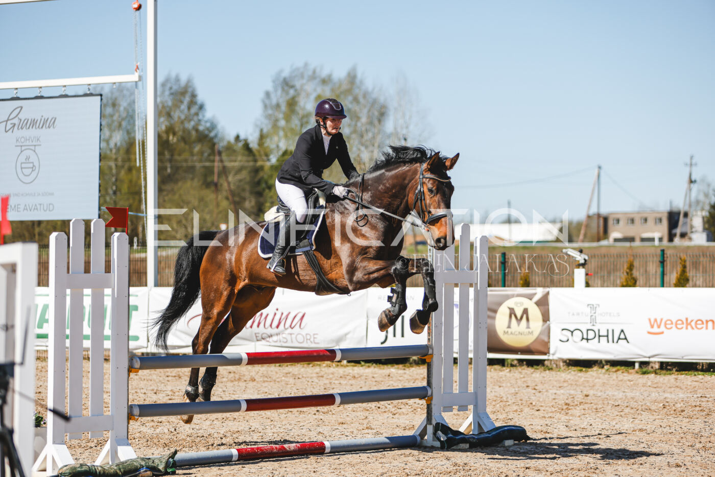 Gramina_Volber_2026_90_0541
