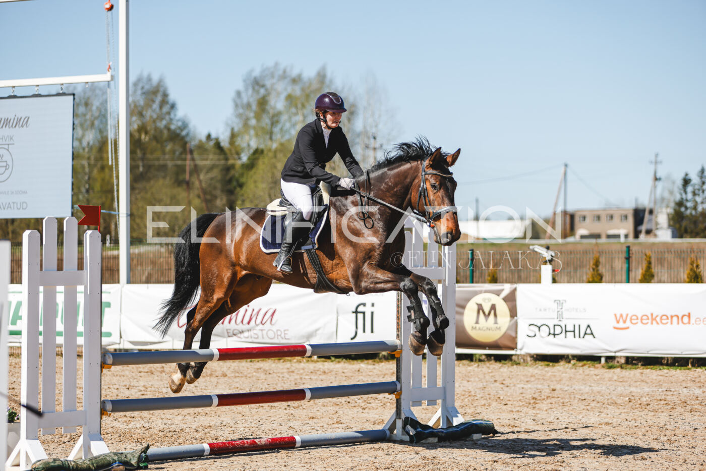 Gramina_Volber_2026_90_0542