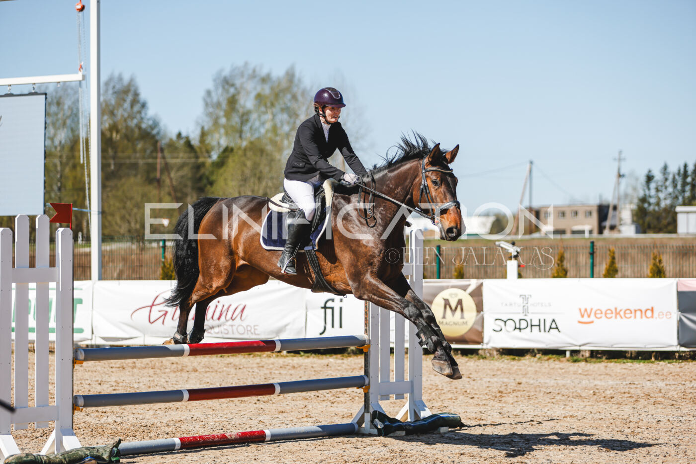 Gramina_Volber_2026_90_0543