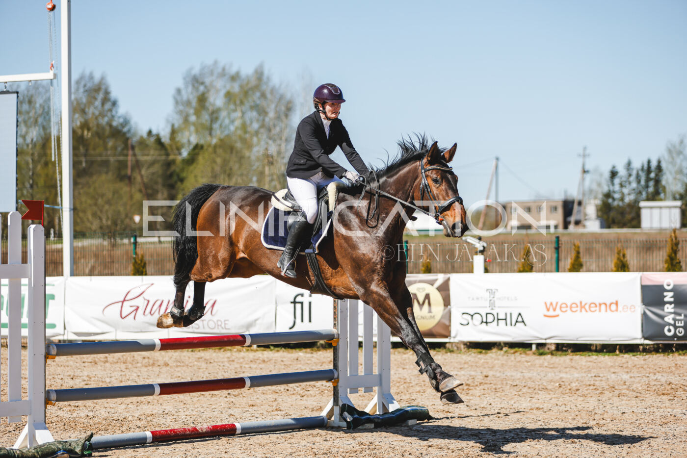 Gramina_Volber_2026_90_0544