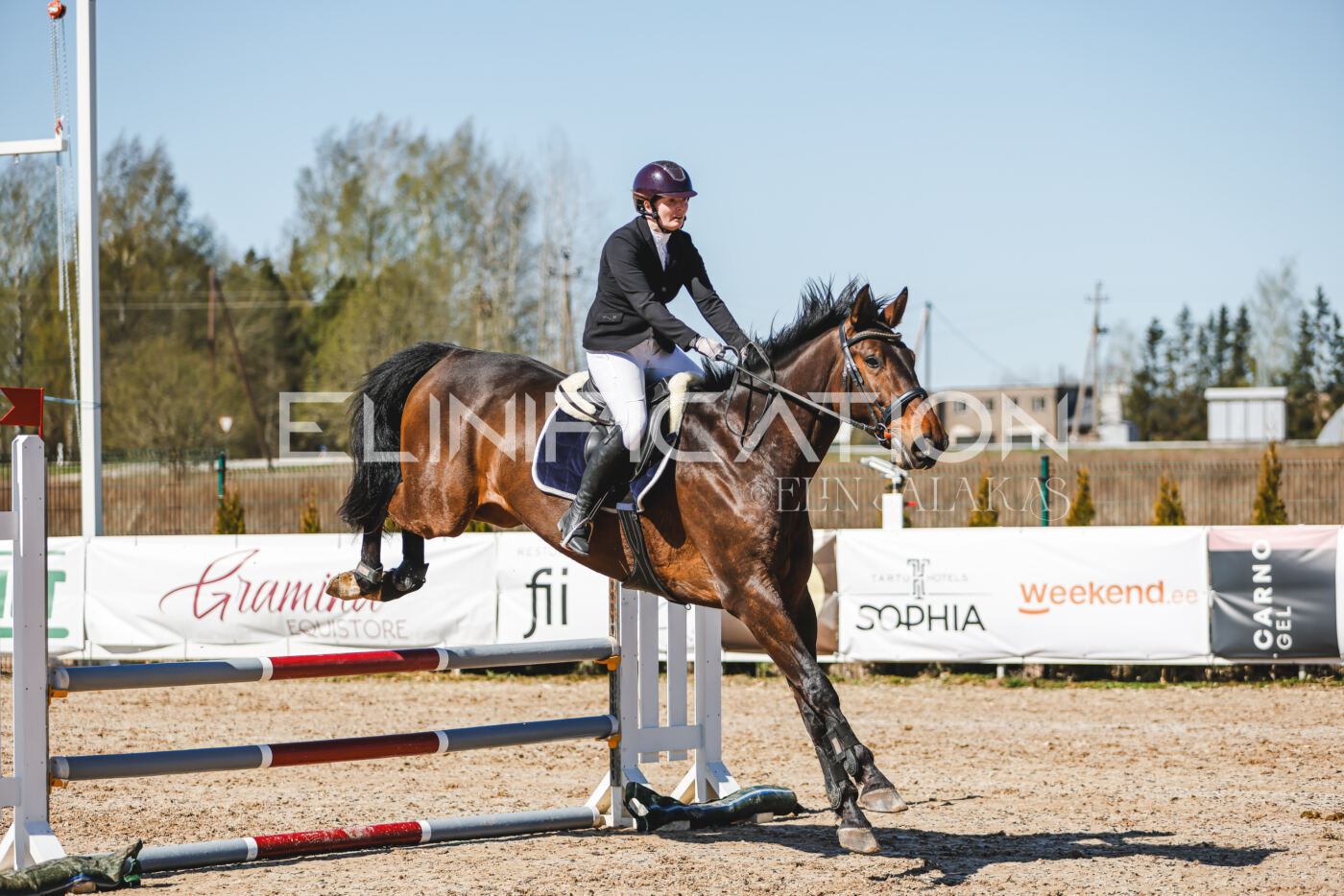 Gramina_Volber_2026_90_0545