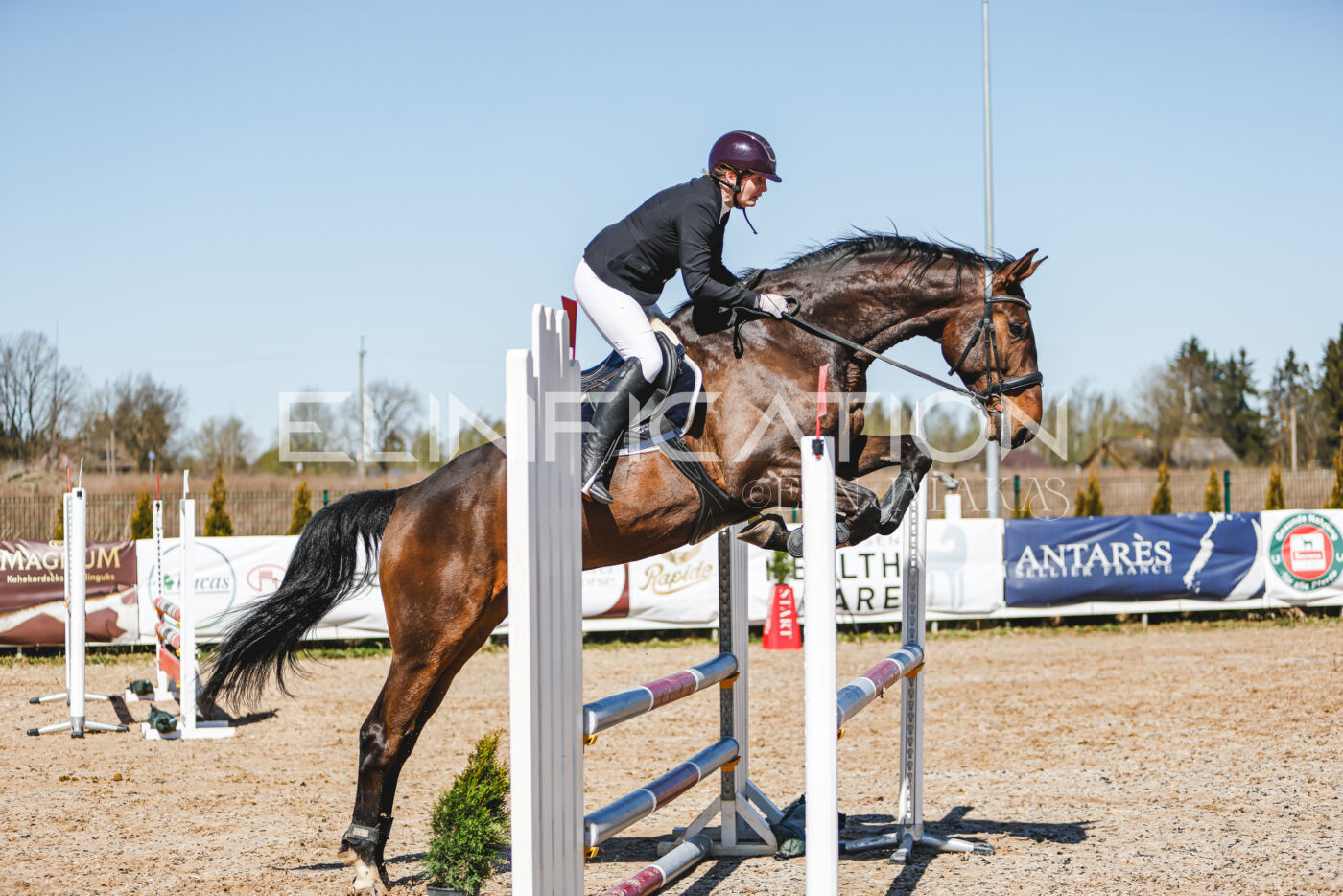 Gramina_Volber_2026_90_0546