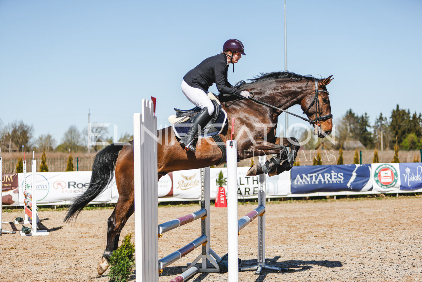 Gramina_Volber_2026_90_0547