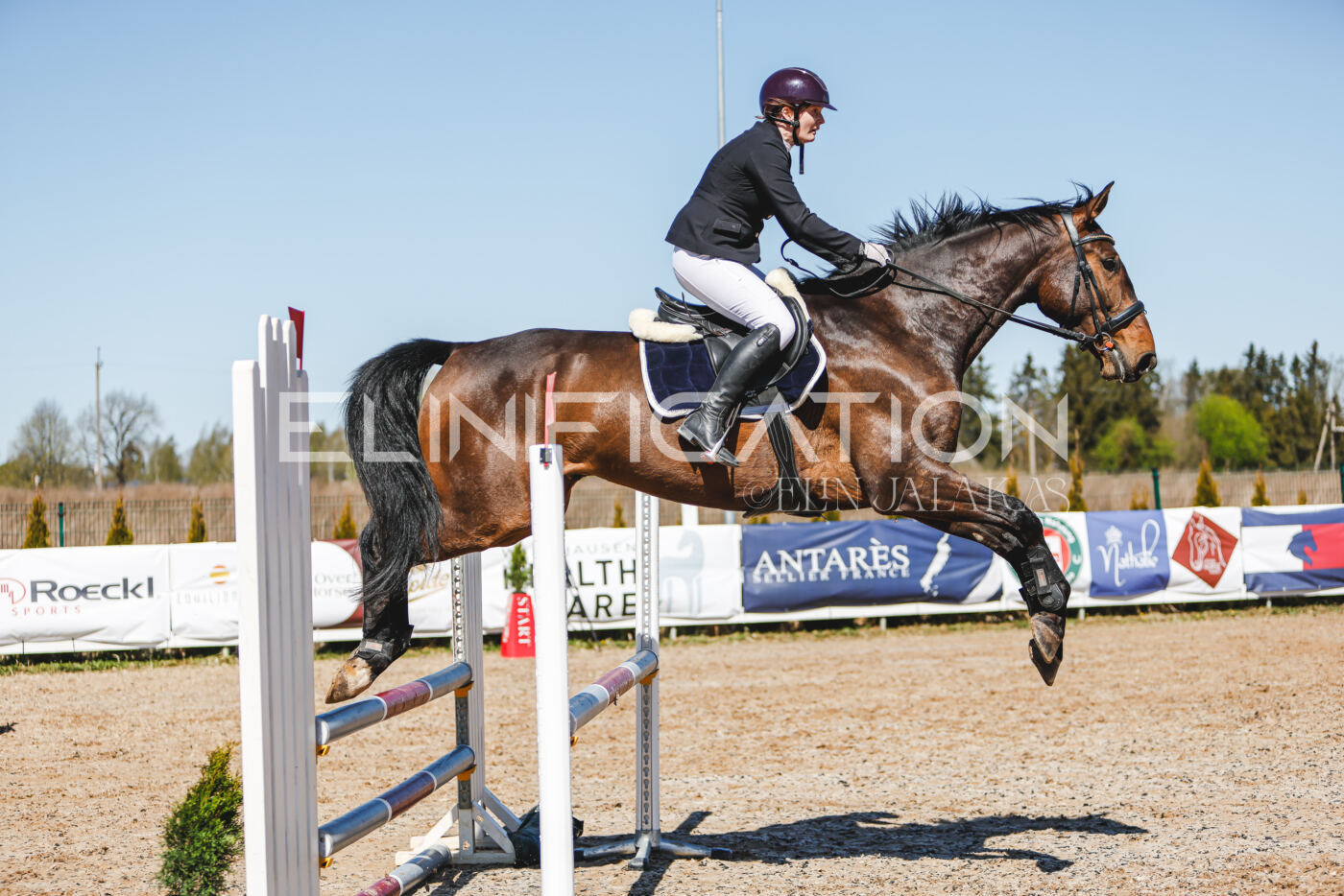 Gramina_Volber_2026_90_0550