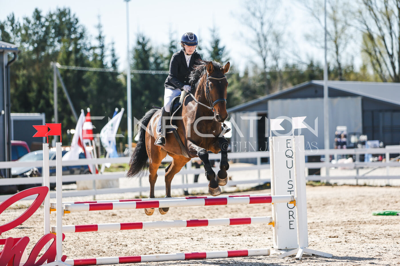 Gramina_Volber_2026_90_0558