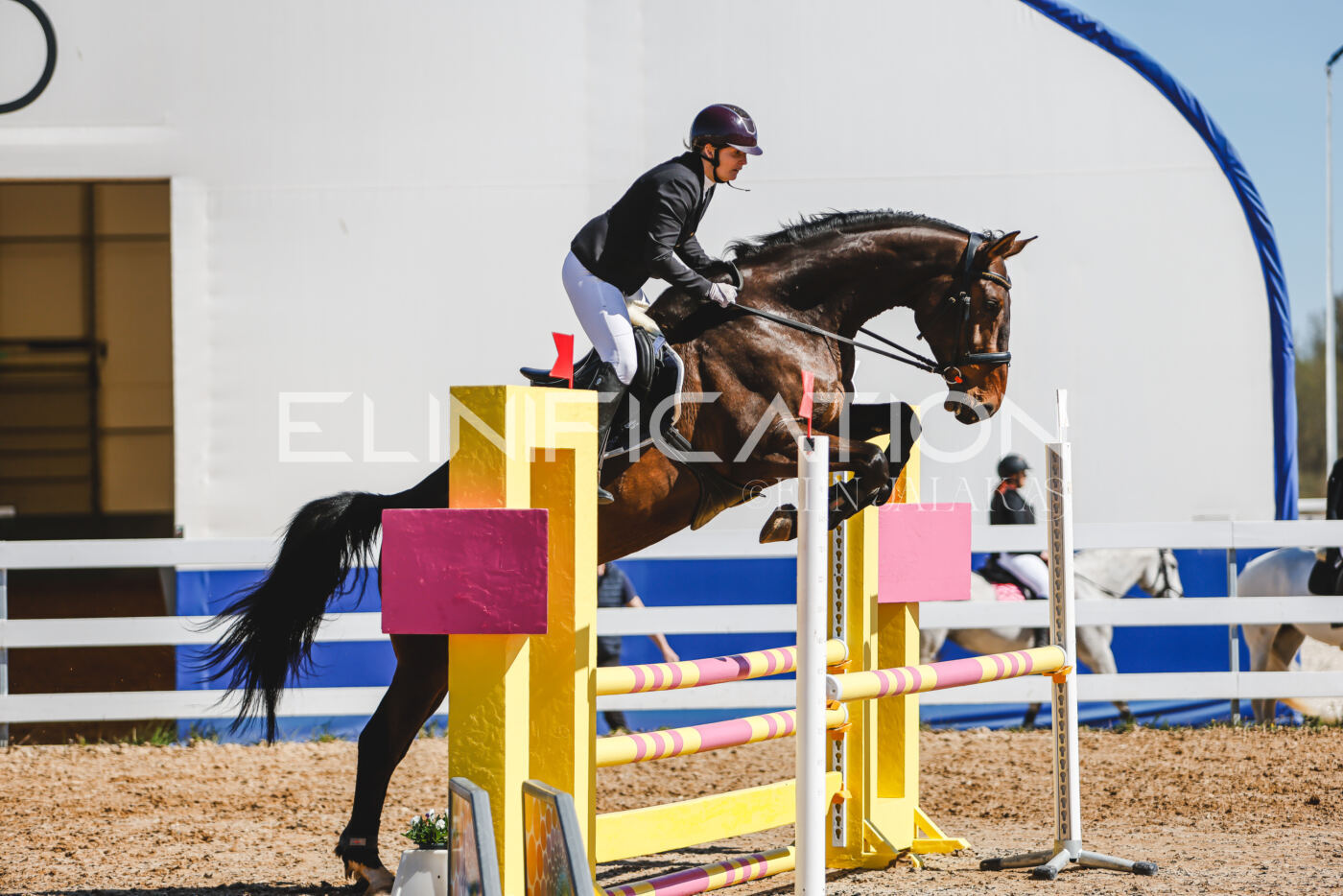 Gramina_Volber_2026_90_0563