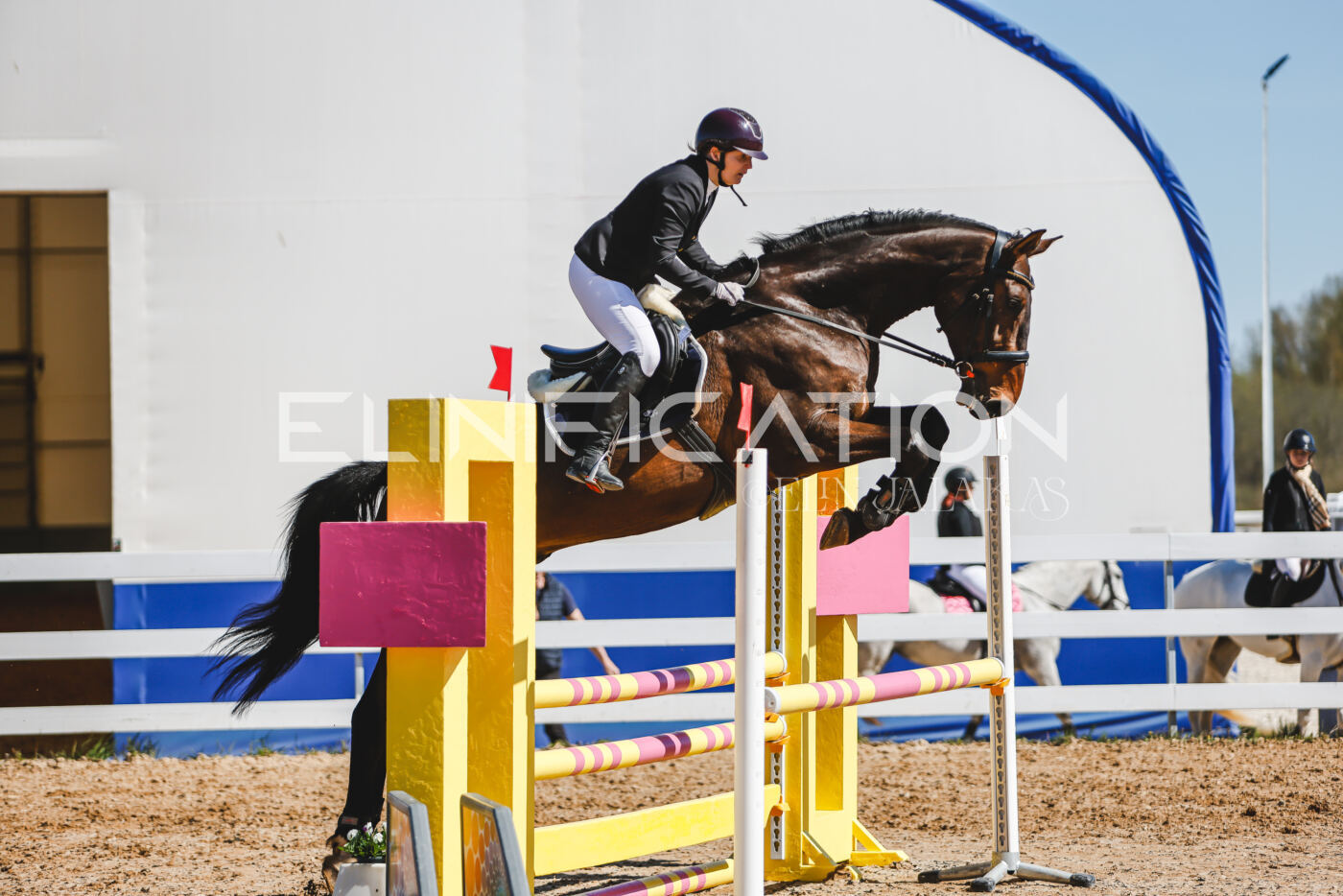 Gramina_Volber_2026_90_0564