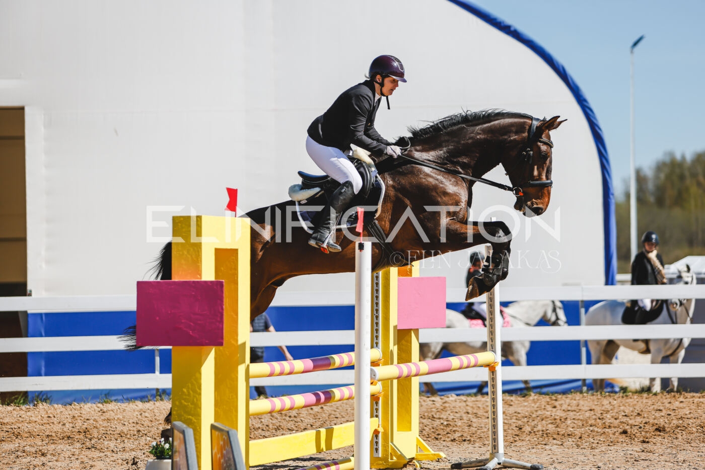 Gramina_Volber_2026_90_0565