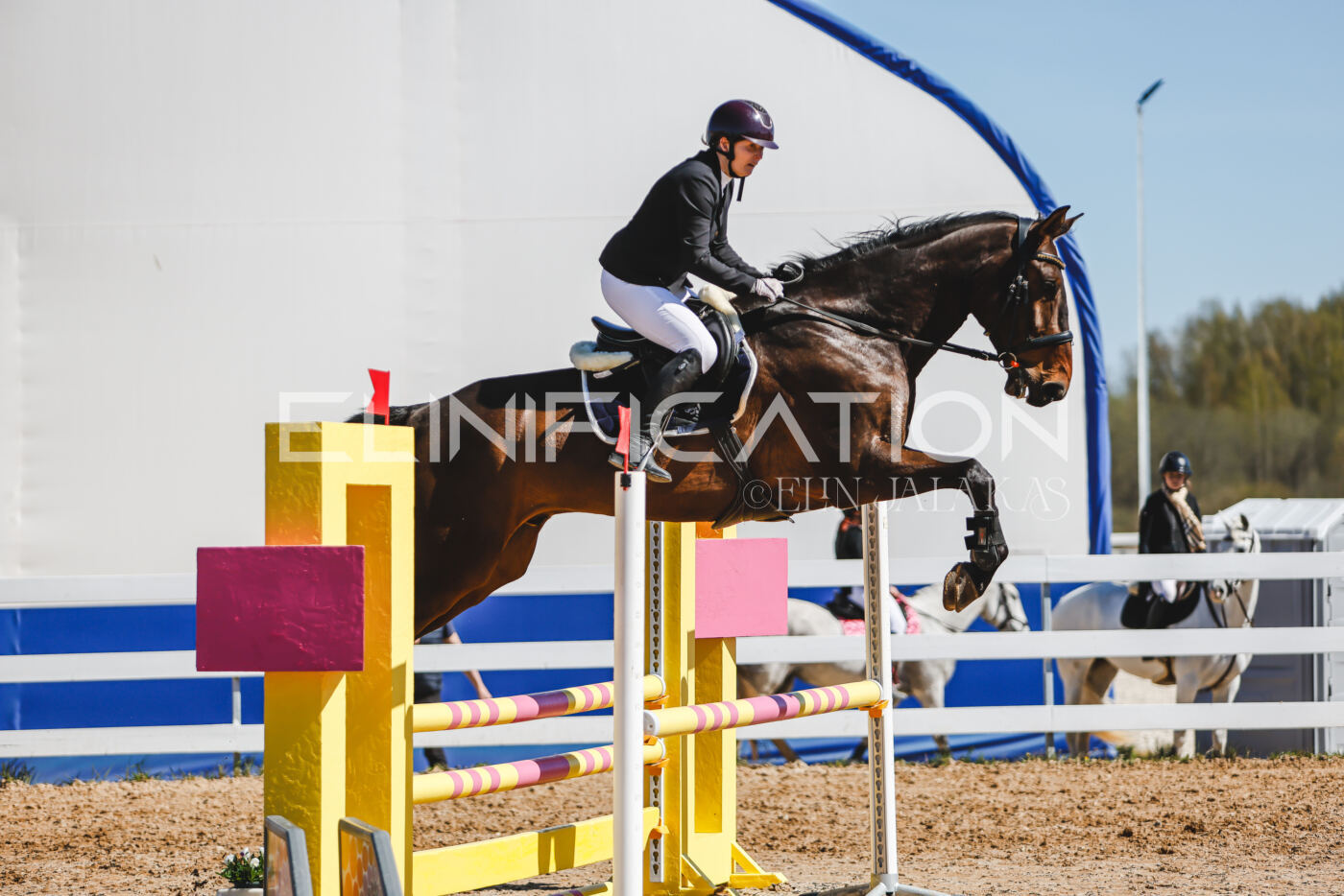 Gramina_Volber_2026_90_0566
