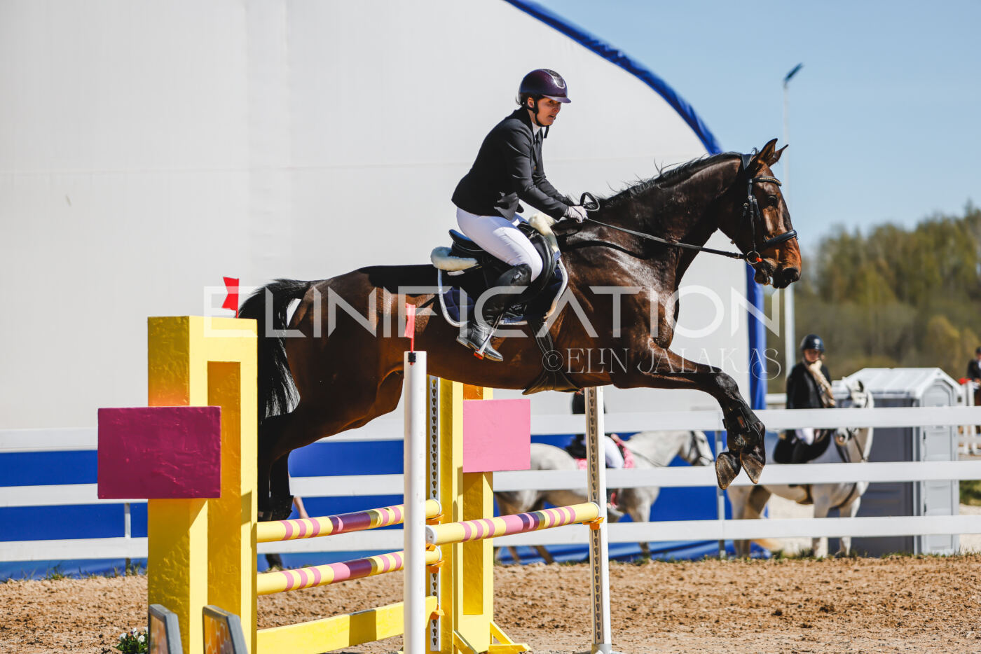 Gramina_Volber_2026_90_0567