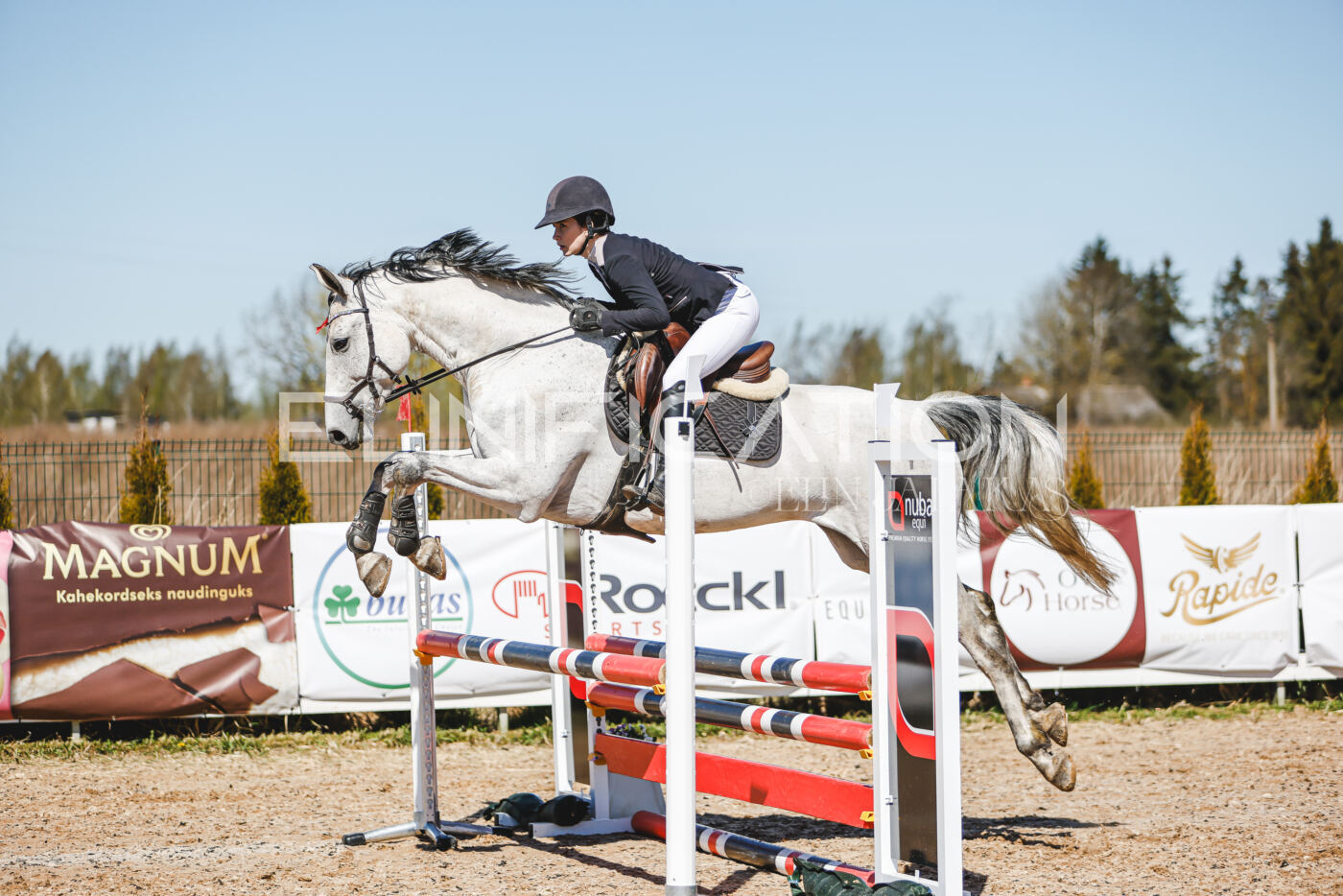 Gramina_Volber_2026_90_0577