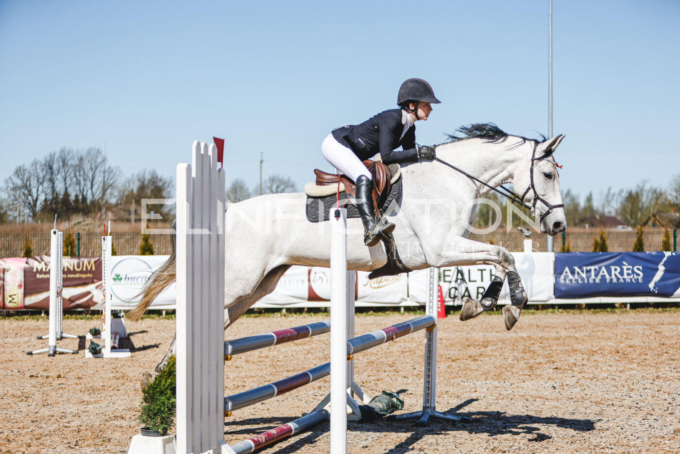 Gramina_Volber_2026_90_0588