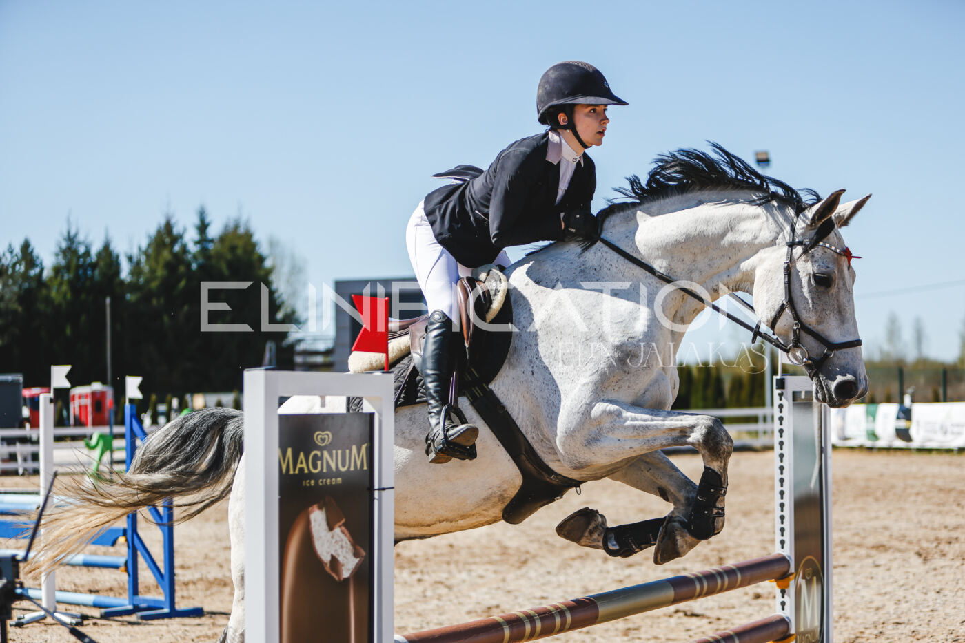 Gramina_Volber_2026_90_0600