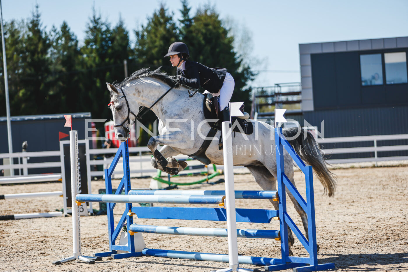 Gramina_Volber_2026_90_0608