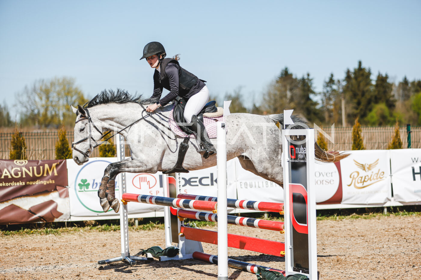 Gramina_Volber_2026_90_0614