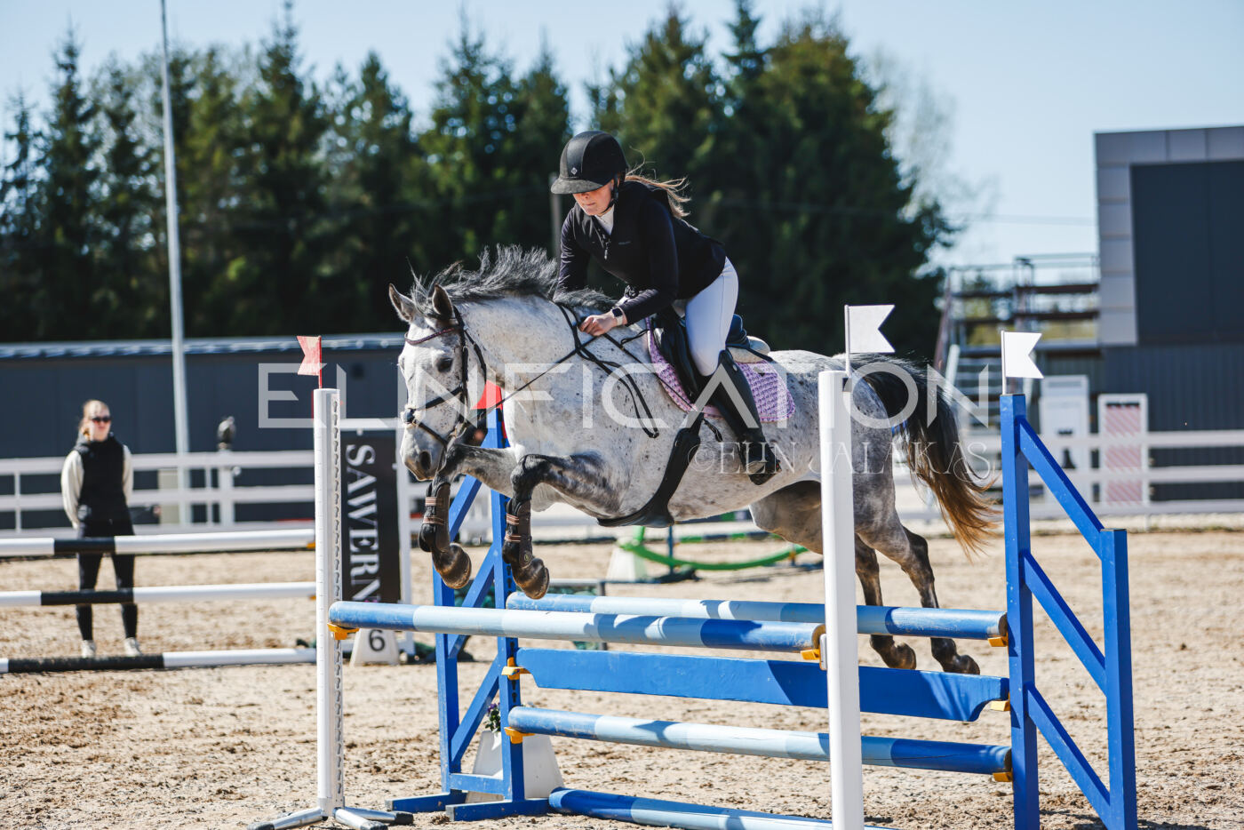 Gramina_Volber_2026_90_0643