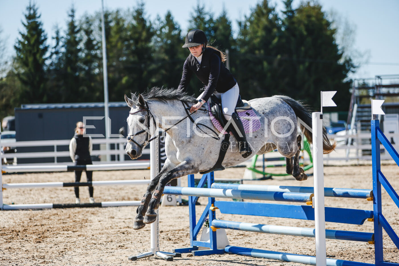 Gramina_Volber_2026_90_0645