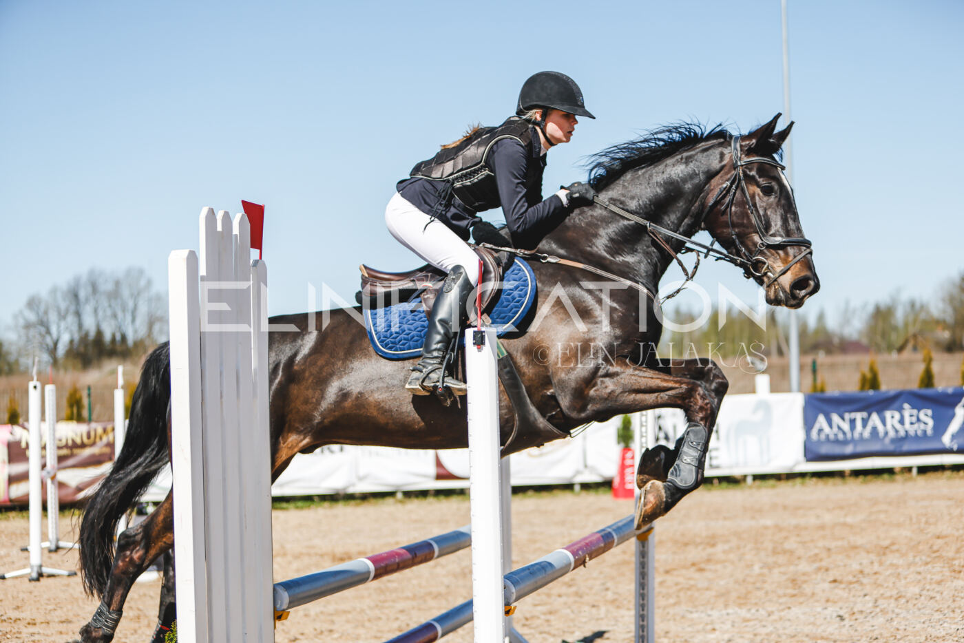 Gramina_Volber_2026_90_0654