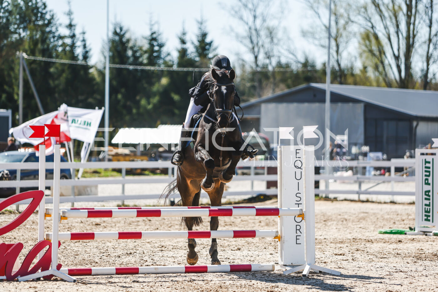 Gramina_Volber_2026_90_0662