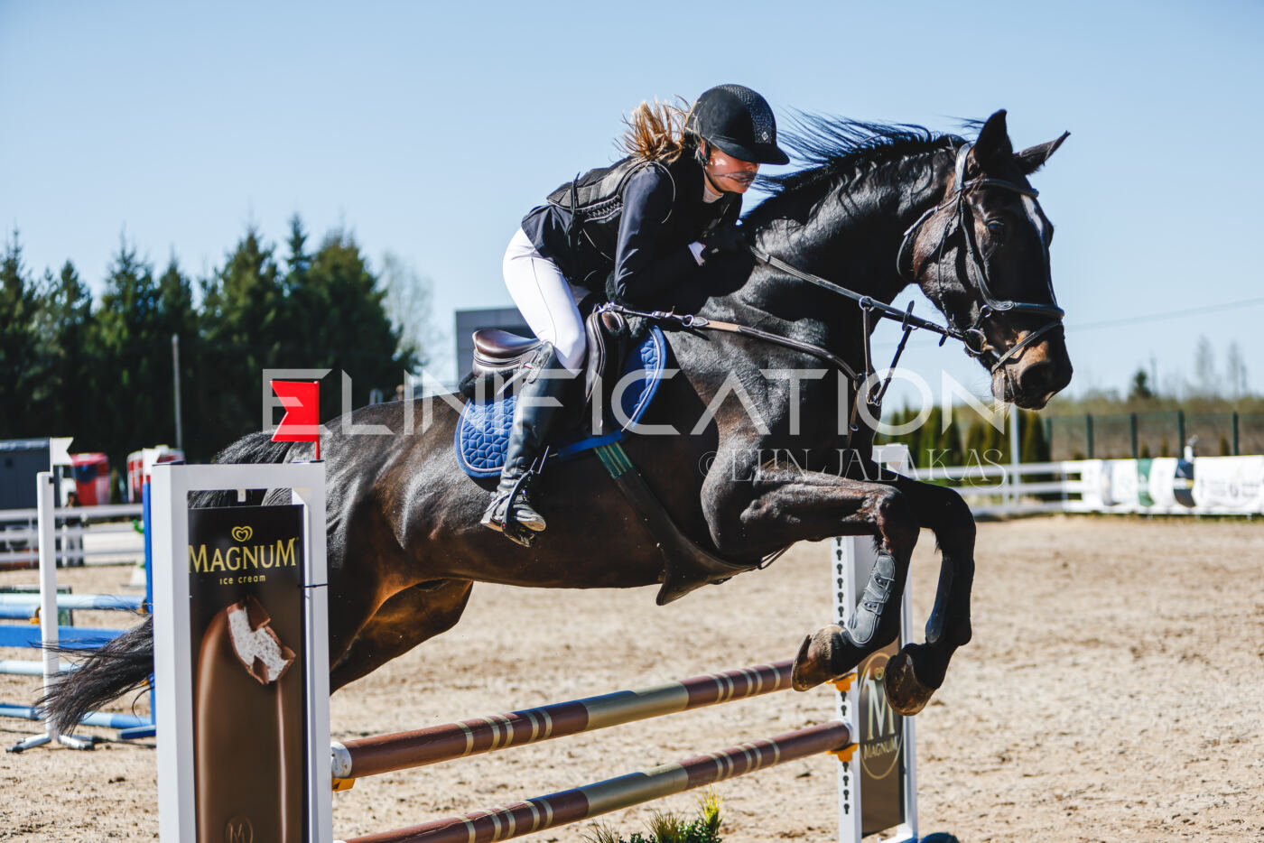 Gramina_Volber_2026_90_0669