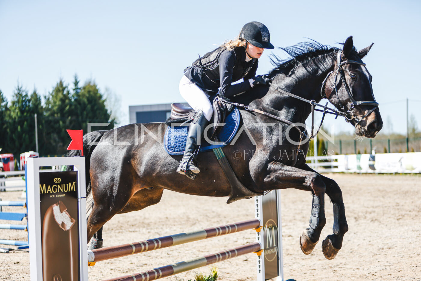 Gramina_Volber_2026_90_0670