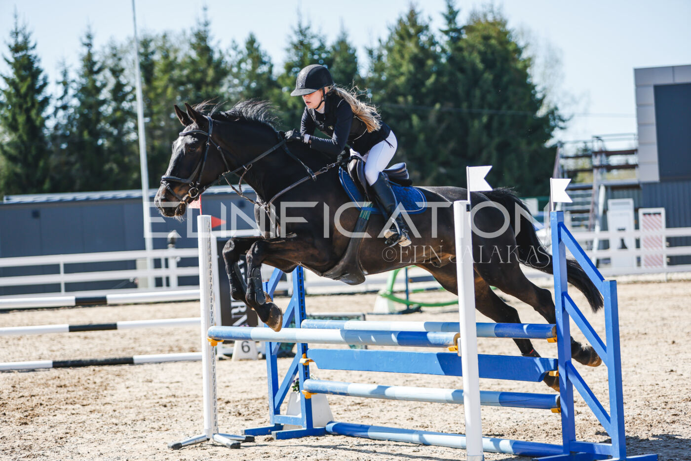 Gramina_Volber_2026_90_0676