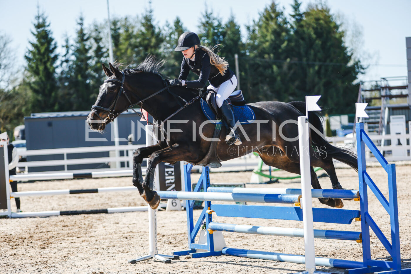 Gramina_Volber_2026_90_0677